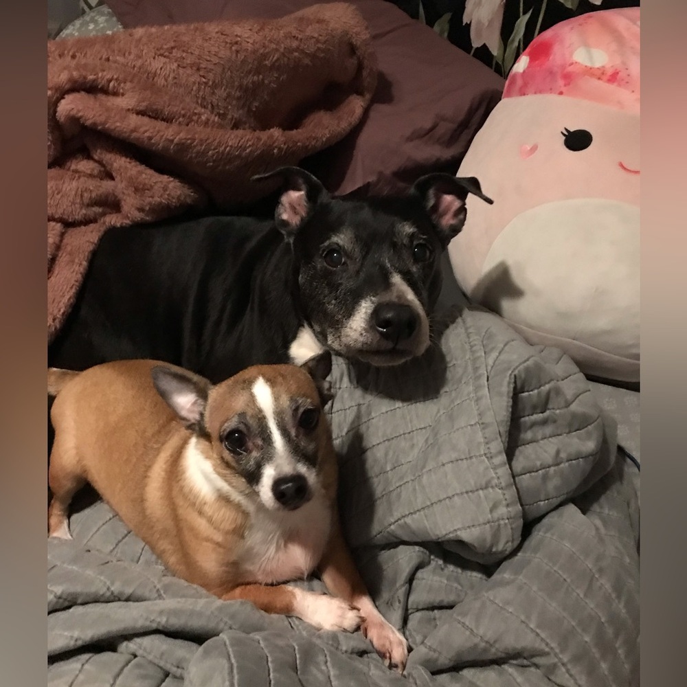 🖤MISTY IS LIVE! 🖤 - Picture 5 of 16